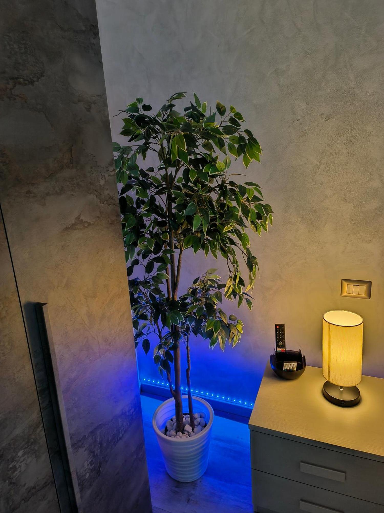 Apartment Relax Rom